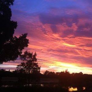 Meet your Posher, Chicken